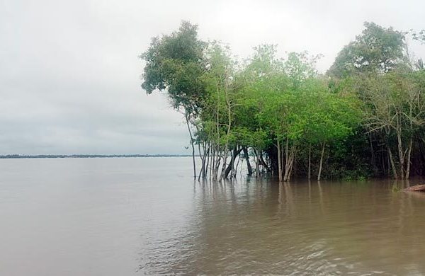 জলোচ্ছ্বাসে প্লাবিত সুন্দরবন